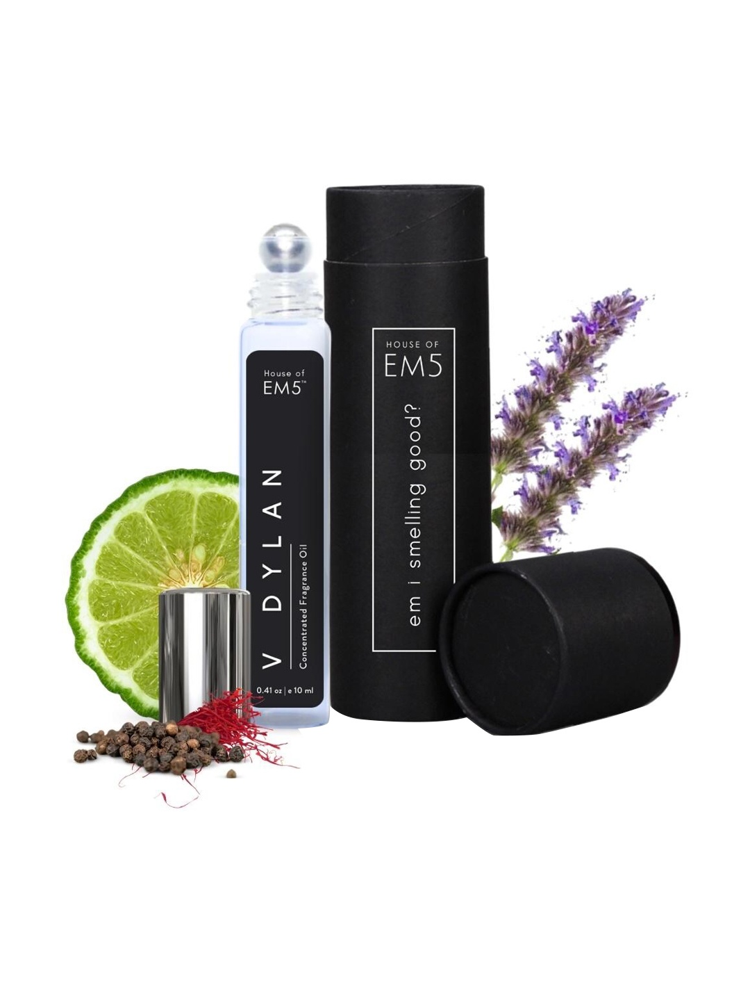 

EM5 V Dylan Long Lasting Concentrated Fragrance Oil Perfume Roll On-10ml, Transparent