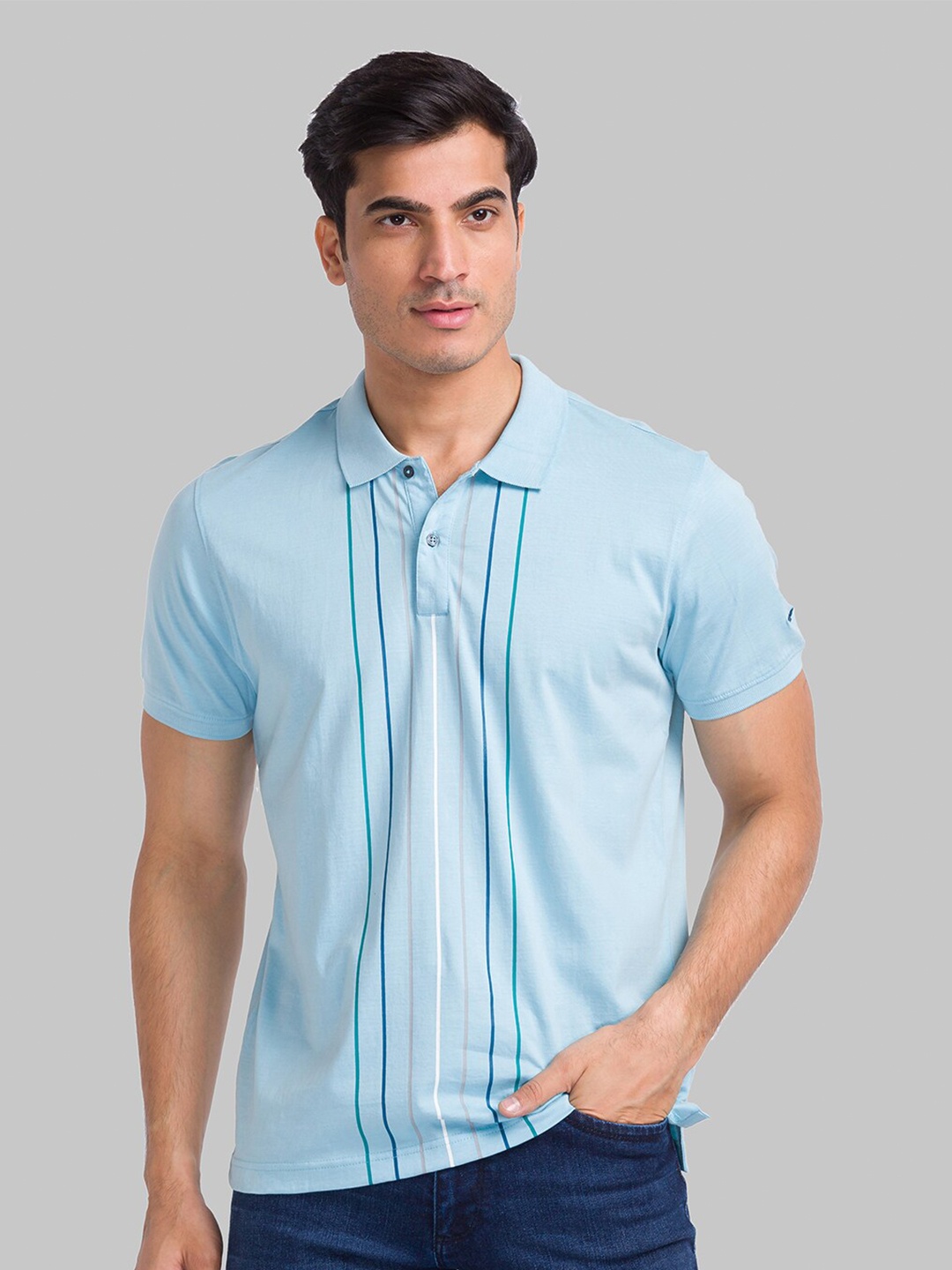 

Park Avenue Striped Polo Collar Slim Fit Cotton Casual T-shirt, Blue