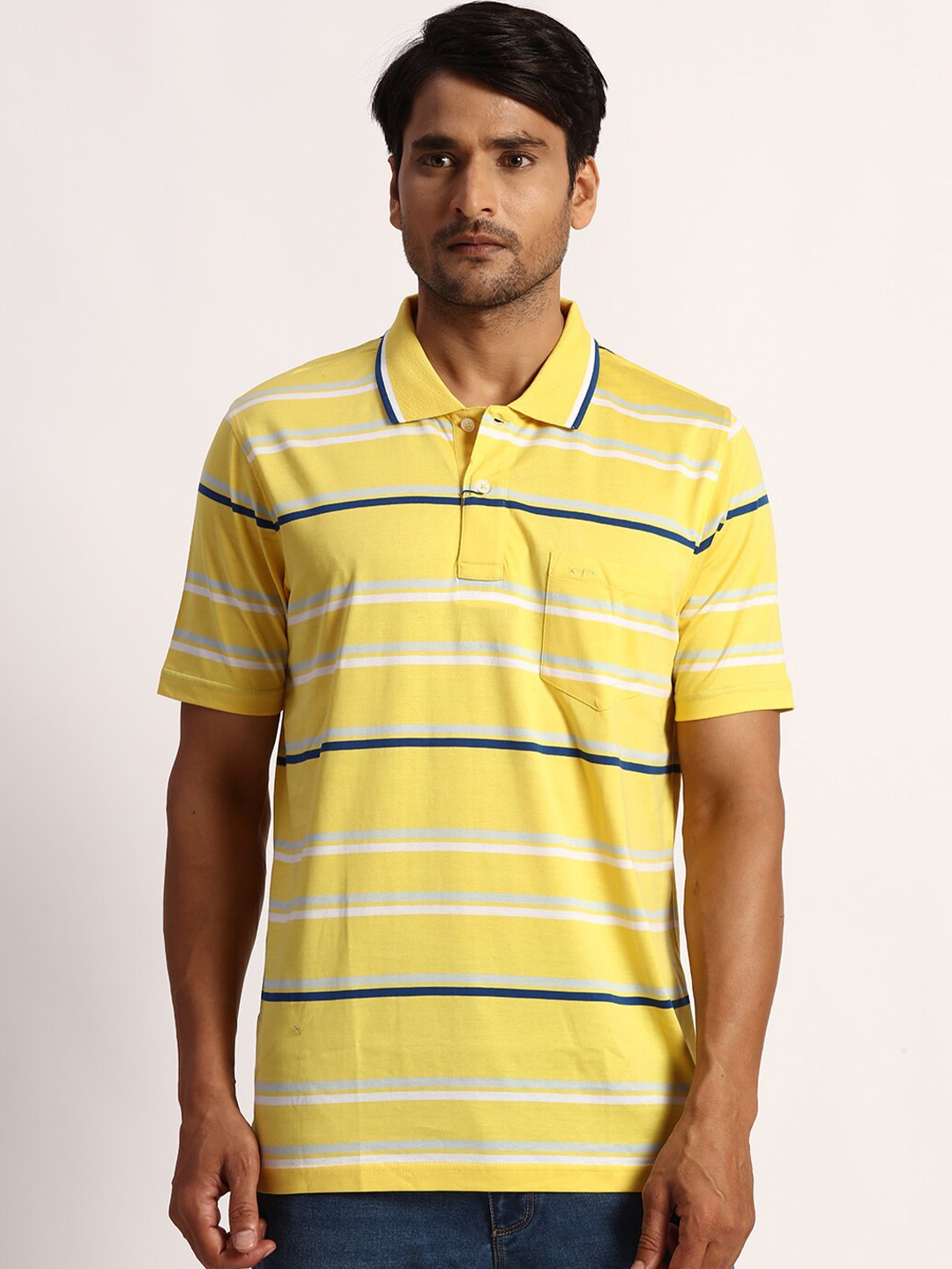 

ColorPlus Striped Polo Collar Cotton T-shirt, Yellow