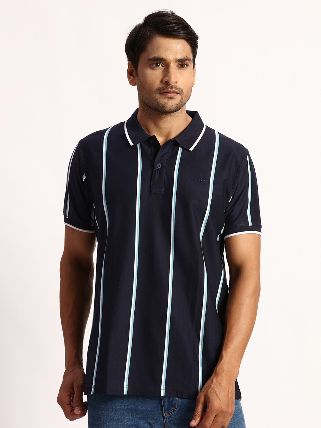 

ColorPlus Striped Polo Collar Cotton T-shirt, Blue