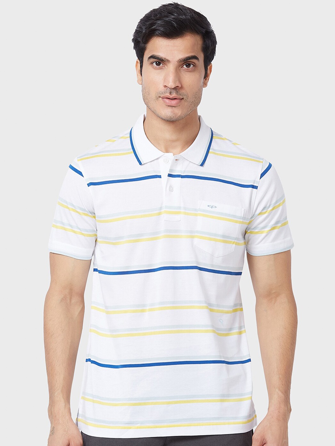 

ColorPlus Striped Polo Collar Regular Fit Cotton Casual T-shirt, White