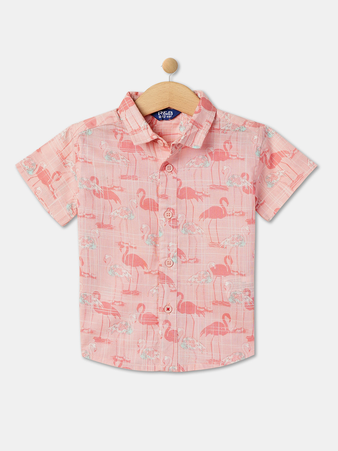 

R&B Boys Conversational Printed Cotton Casual Shirt, Pink
