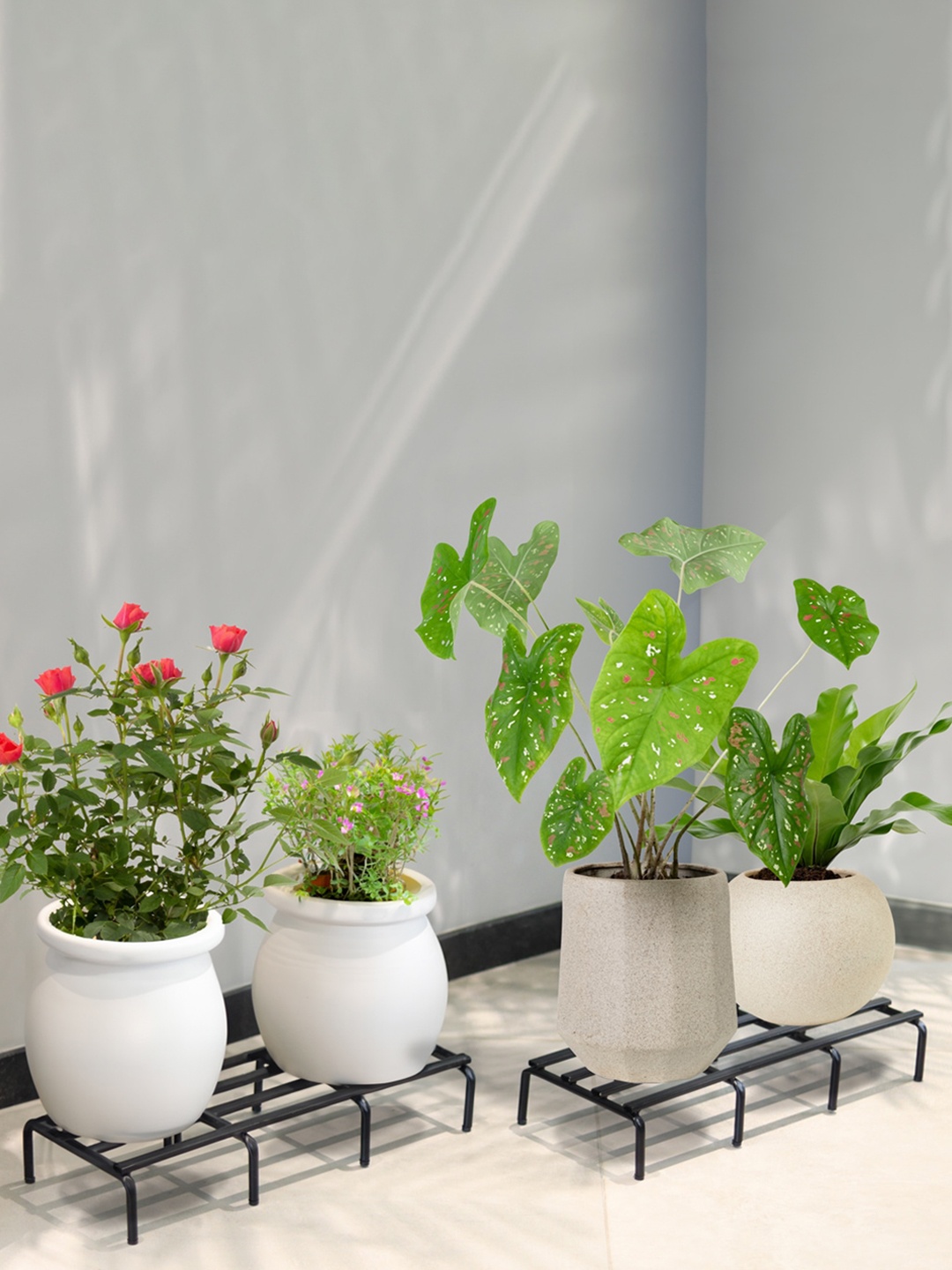 

TRUSTBASKET 4 Pcs Black Planter Stand