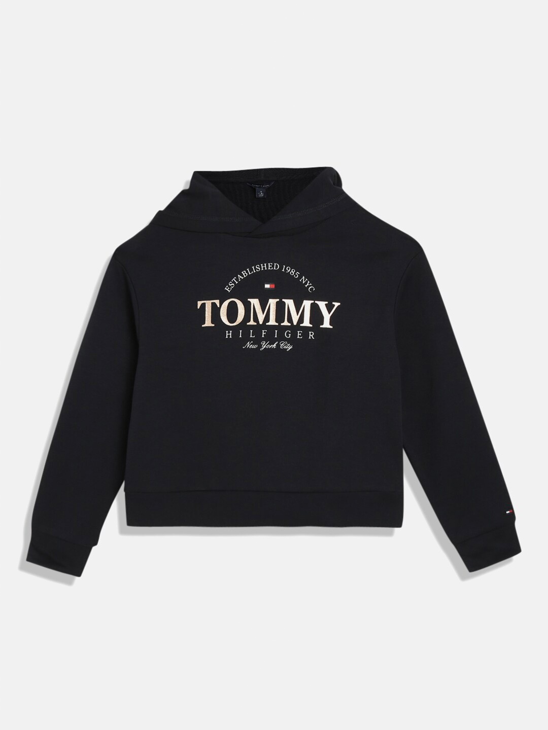 

Tommy Hilfiger Girls Typography Printed Hooded Cotton Pullover Sweatshirt, Blue