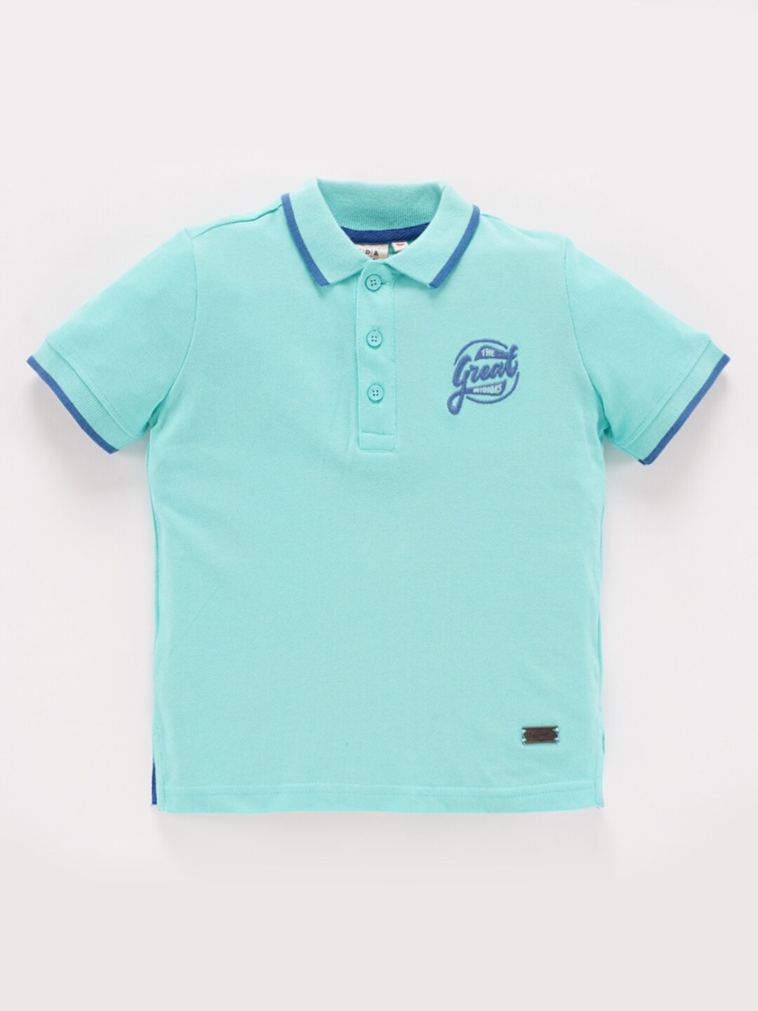 

Ed-a-Mamma Boys Polo Collar Regular Fit Cotton T-Shirt, Blue