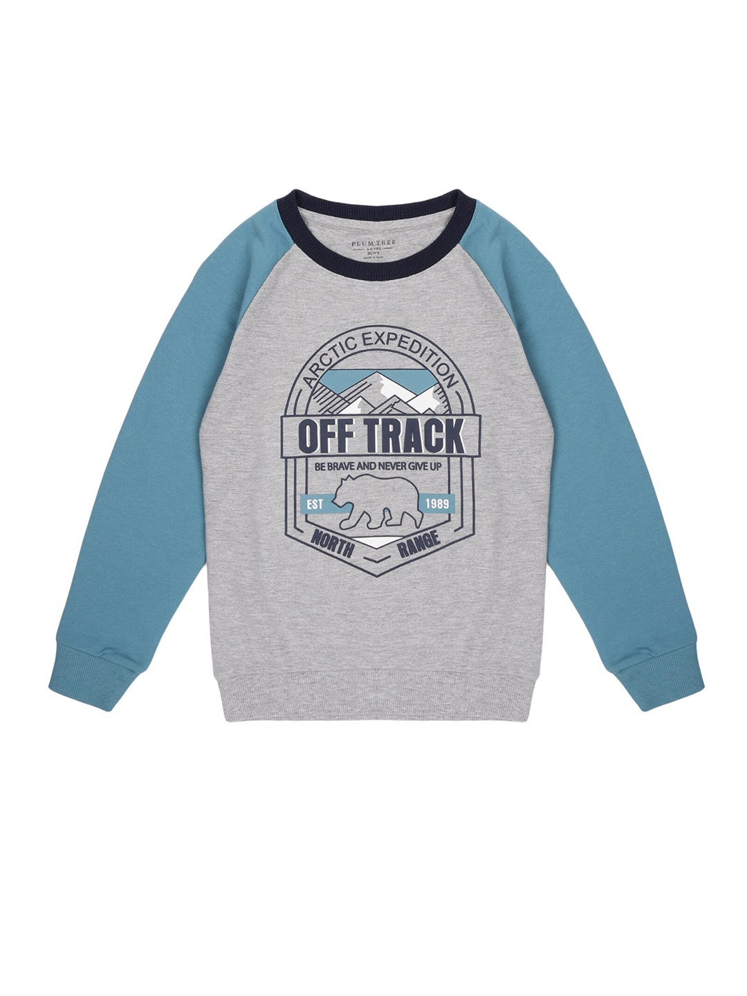 

PLUM TREE Boys Graphic Printed Cotton Sweatshirt, Grey melange