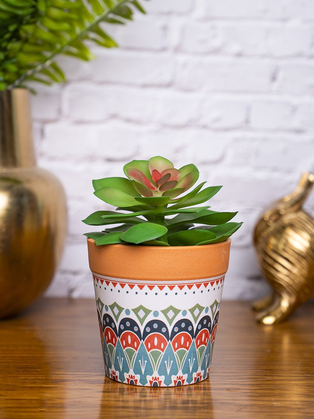 

MARKET99 Green & Red Jade Plant With Plastic Pot
