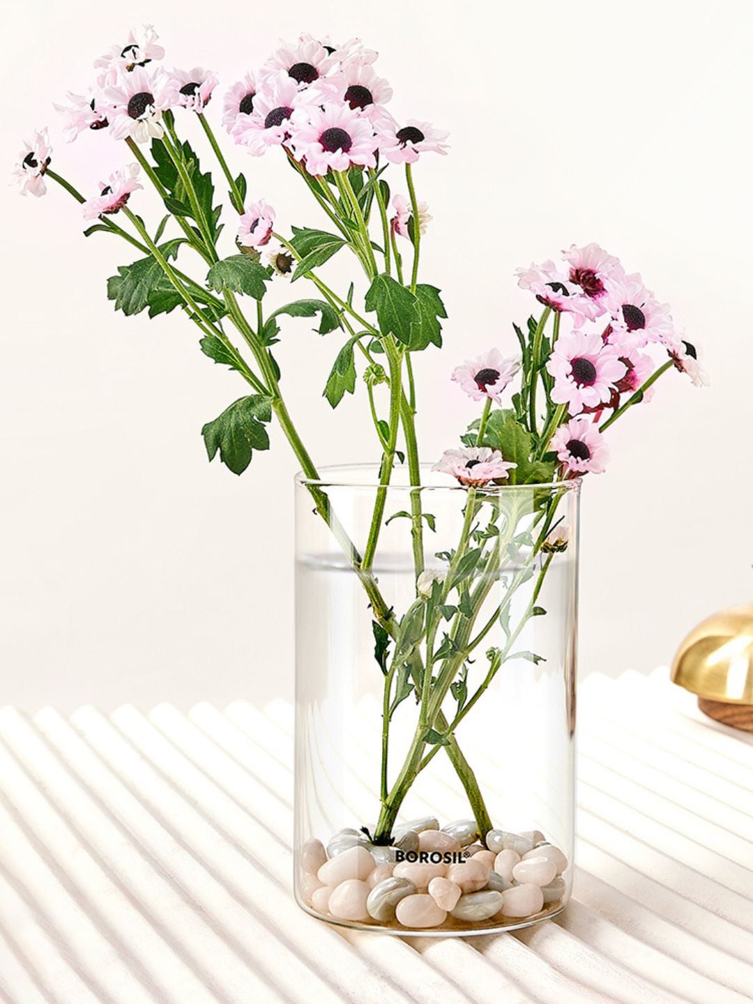 

BOROSIL Vision Transparent Borosilicate Glass Vase