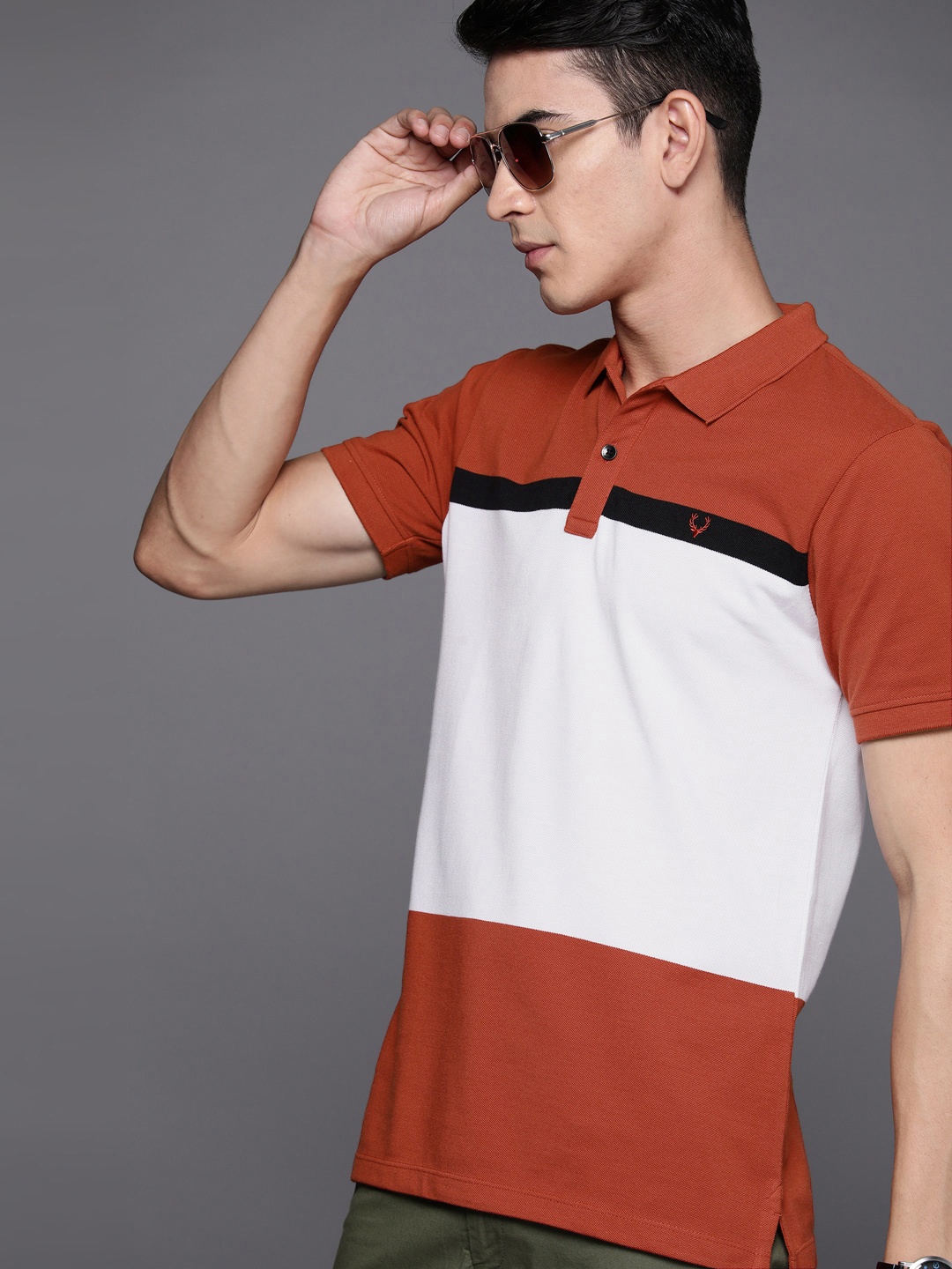 

Allen Solly Men Colourblocked Slim Fit T-shirt, Rust