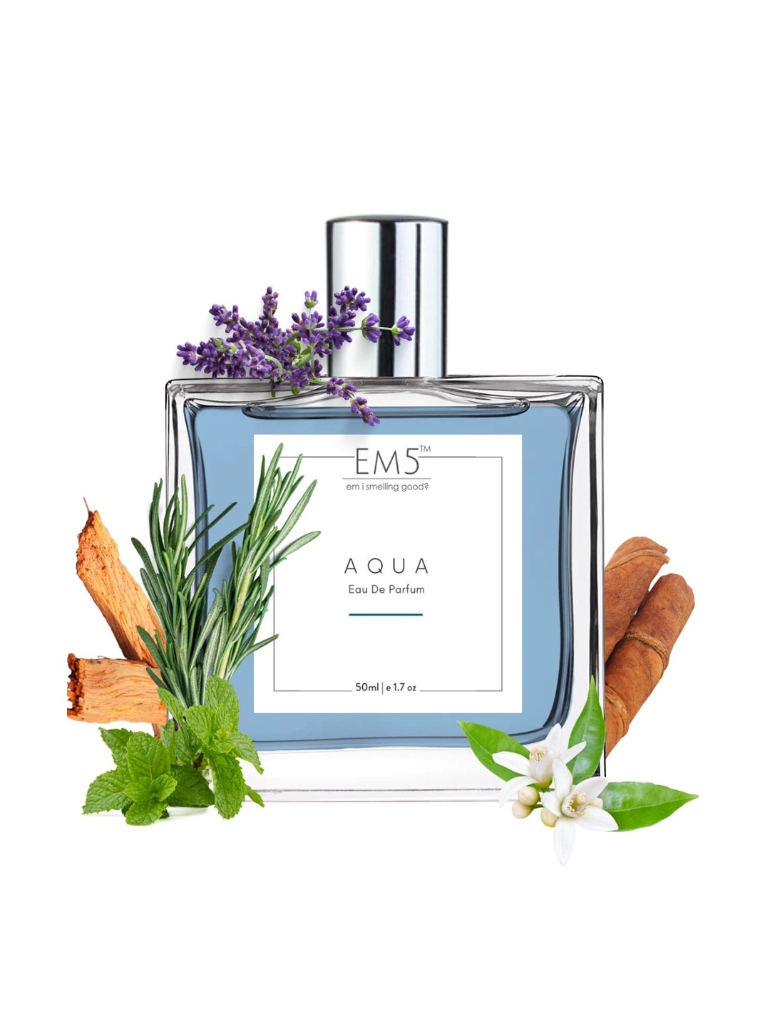 

EM5 Men Aqua Long Lasting Eau De Parfum - 50 ml, Blue