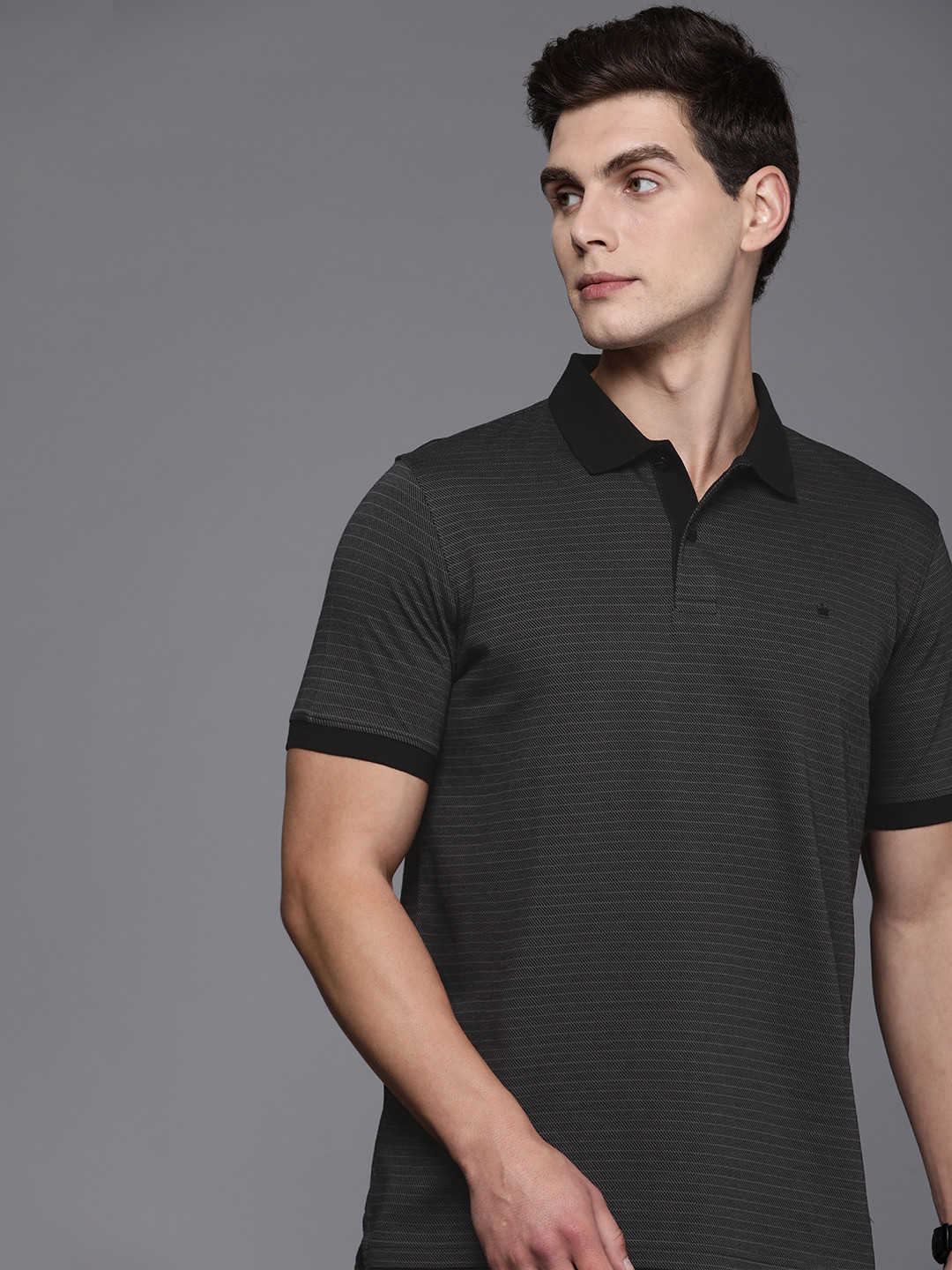 

Louis Philippe Striped Polo Collar Pure Cotton T-shirt, Black