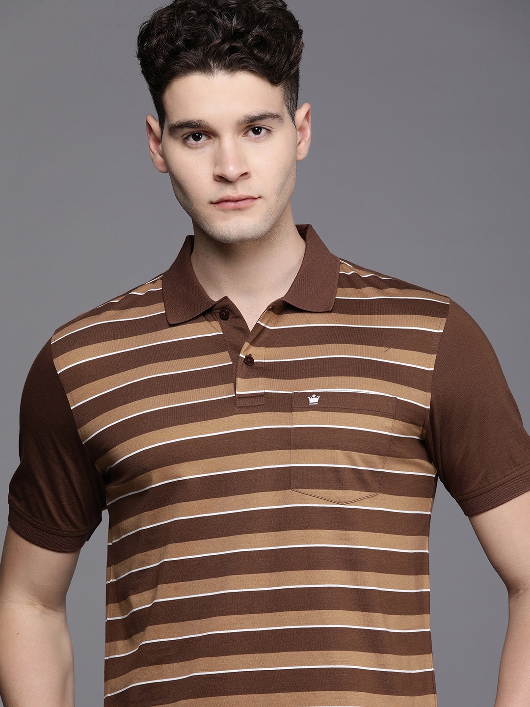 

Louis Philippe Men Striped Polo Collar Pure Cotton T-shirt, Brown