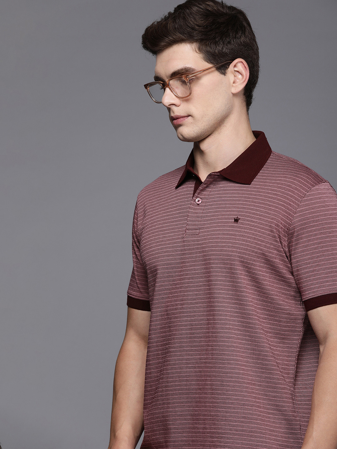 

Louis Philippe Striped Polo Collar Pure Cotton T-shirt, Maroon