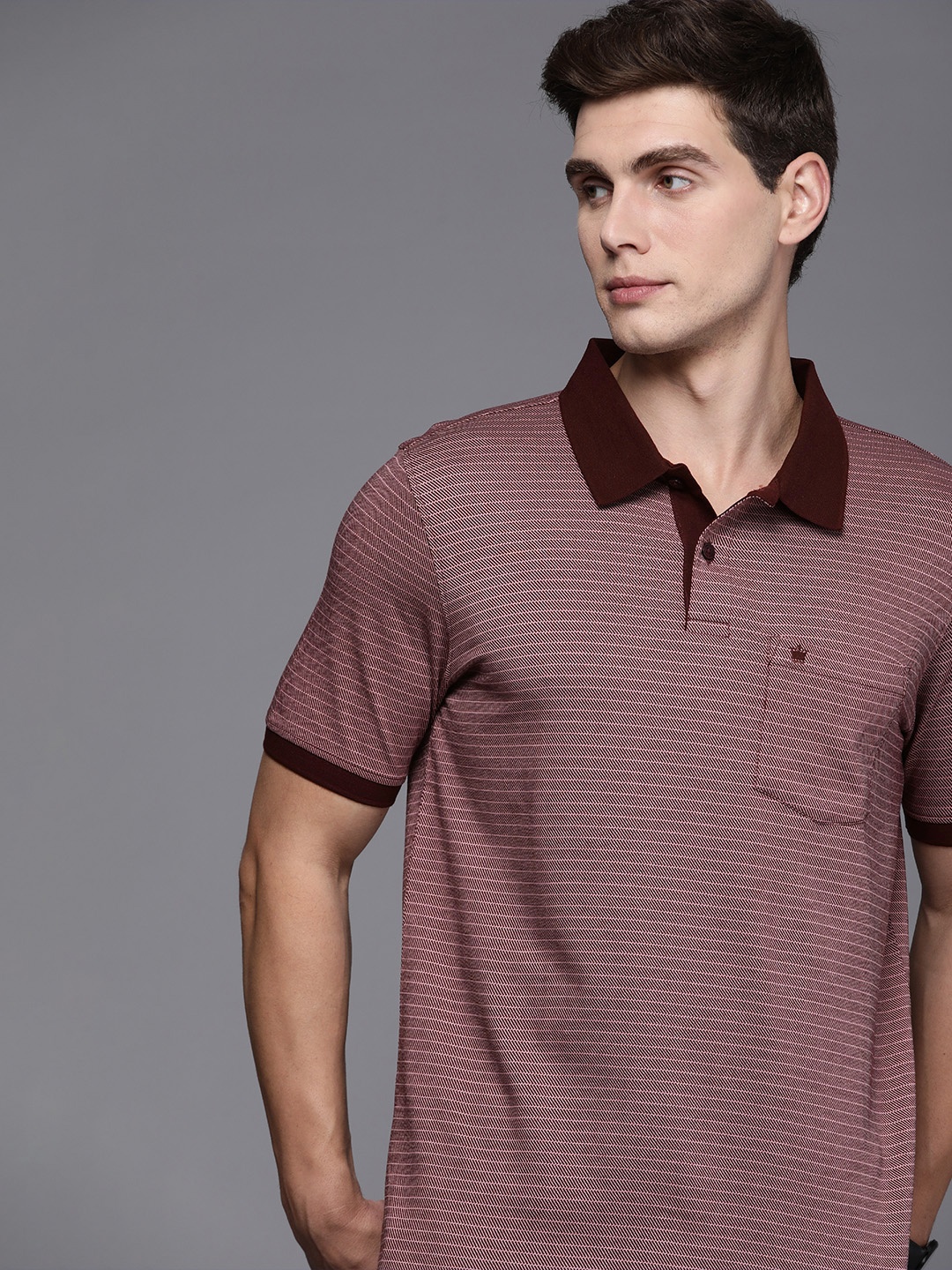 

Louis Philippe Striped Polo Collar Pure Cotton Pocket T-shirt, Maroon