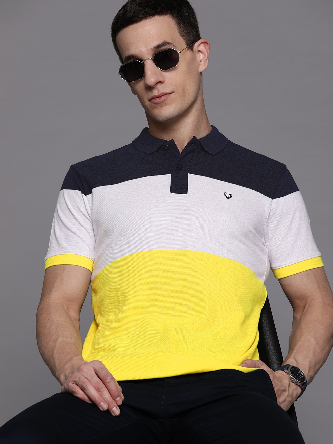 

Allen Solly Sport Men Brand Logo Embroidered Colourblocked Polo Collar T-shirt, Navy blue