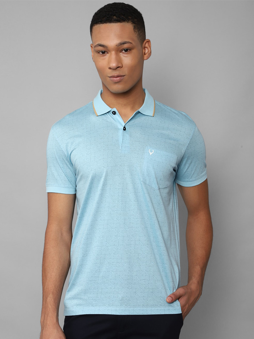 

Allen Solly Polo Collar Pure Cotton T-shirt, Blue