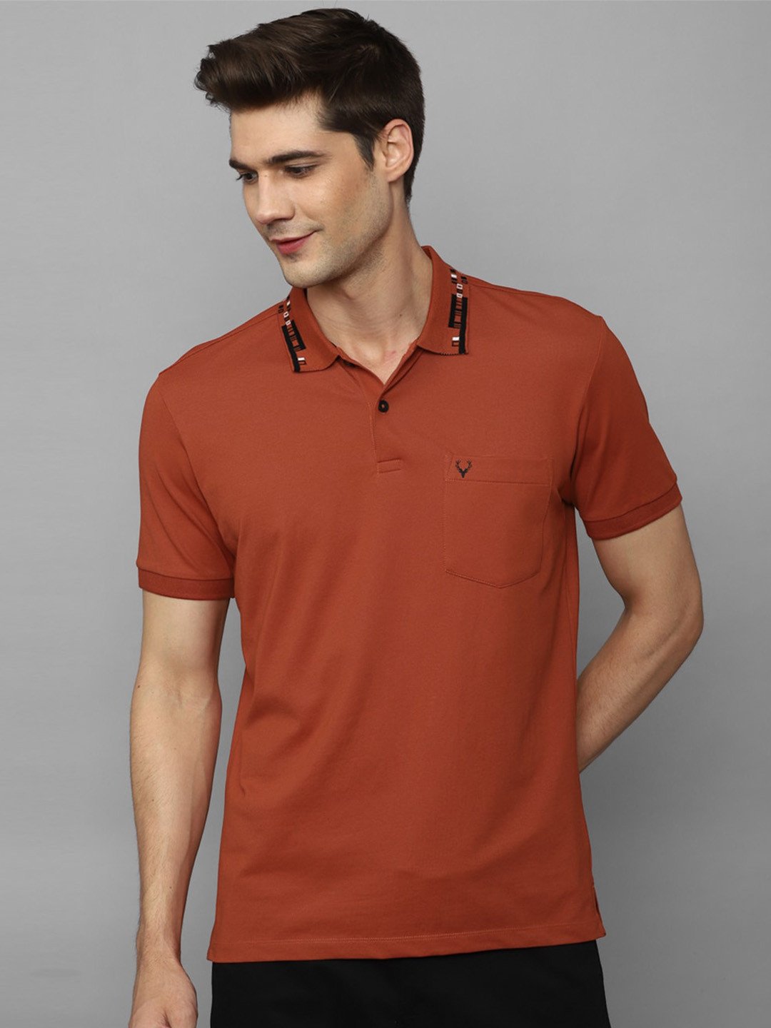

Allen Solly Regular Fit Polo Collar Pure Cotton T-shirt, Red