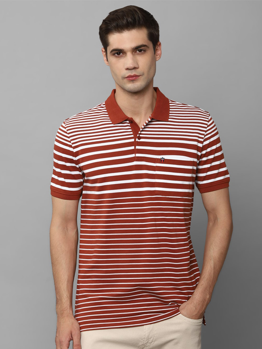 

Louis Philippe Sport Striped Polo Collar Pure Cotton Slim Fit T-Shirt, Maroon