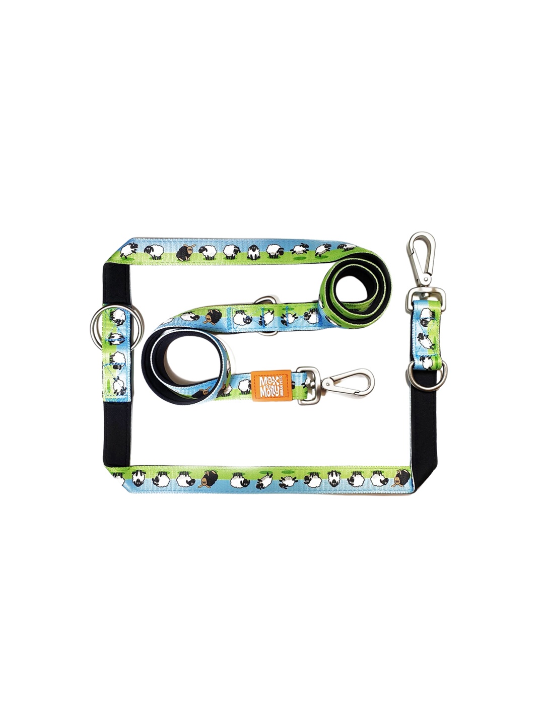 

Max & Molly Self Design Dog Training Leash, Green