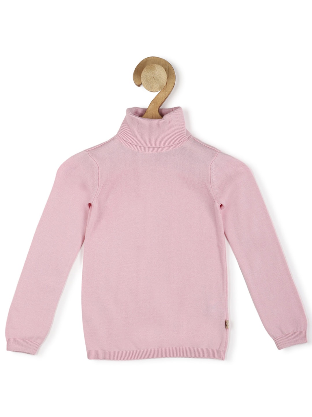 

Allen Solly Junior Girls Turtle Neck Long Sleeve Pullover Sweaters, Pink