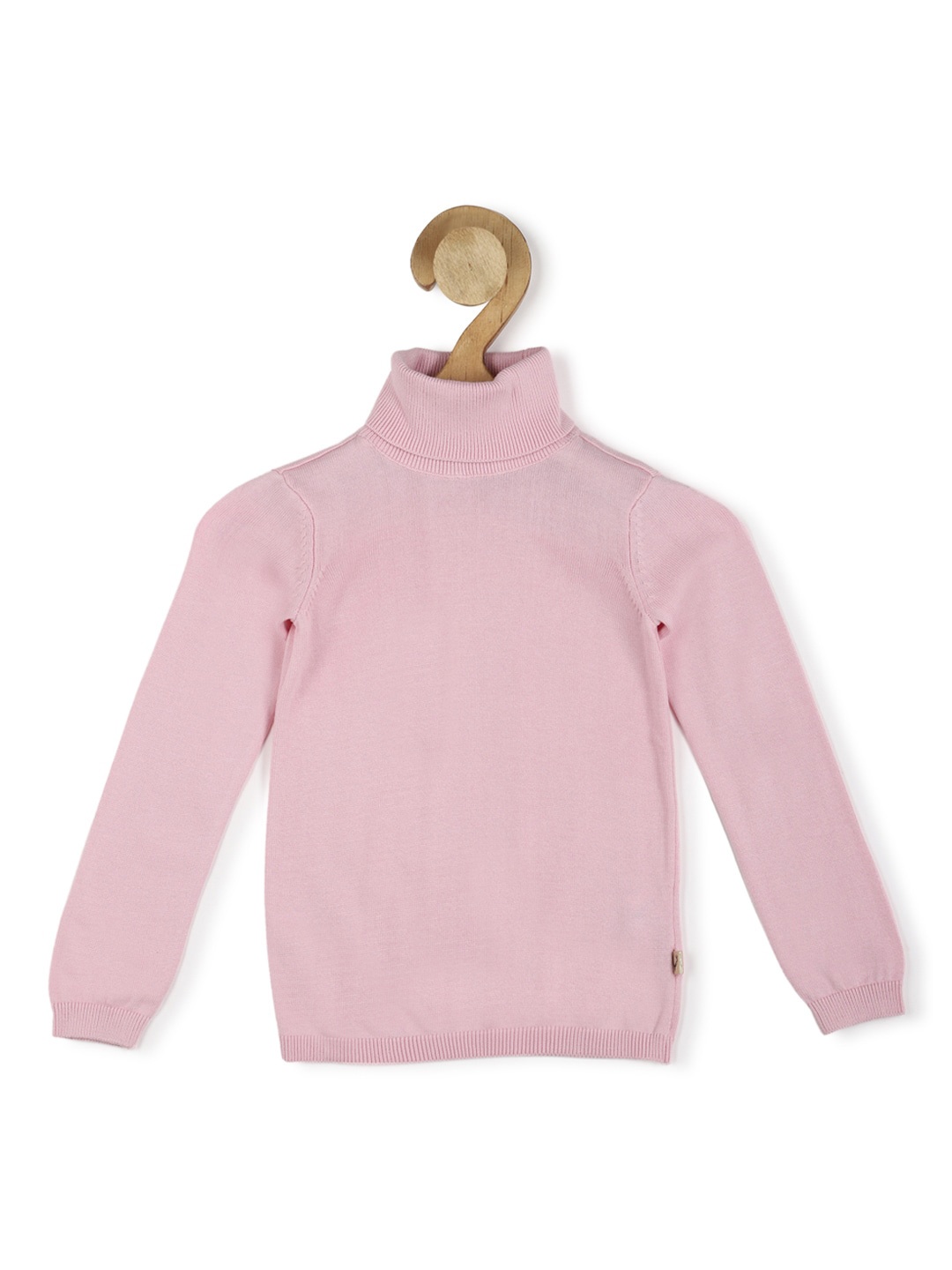 

Allen Solly Junior Girls Turtle Neck Long Sleeve Pullover Sweaters, Pink