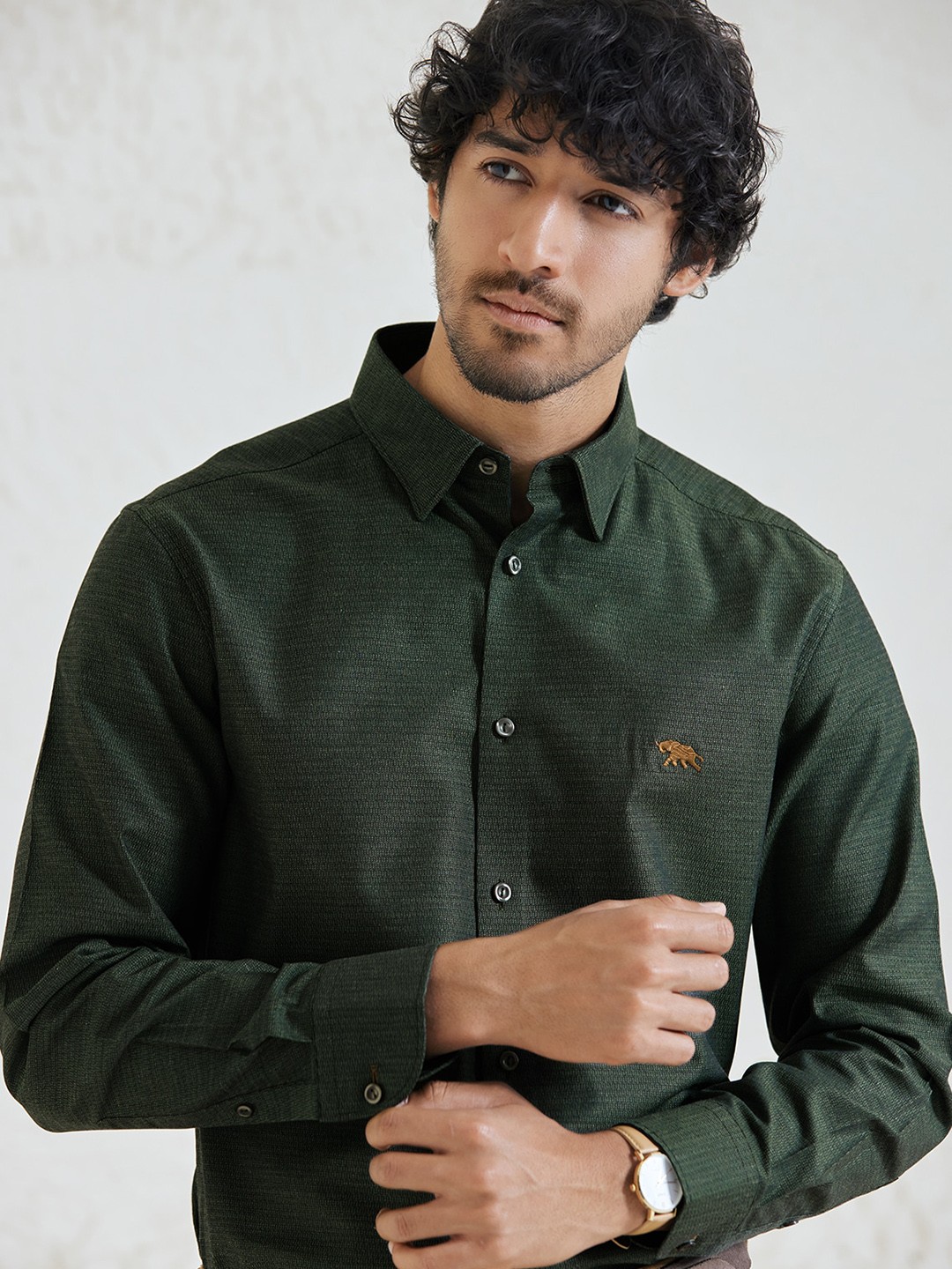 

Andamen Premium Slim Fit Cotton Formal Shirt, Green
