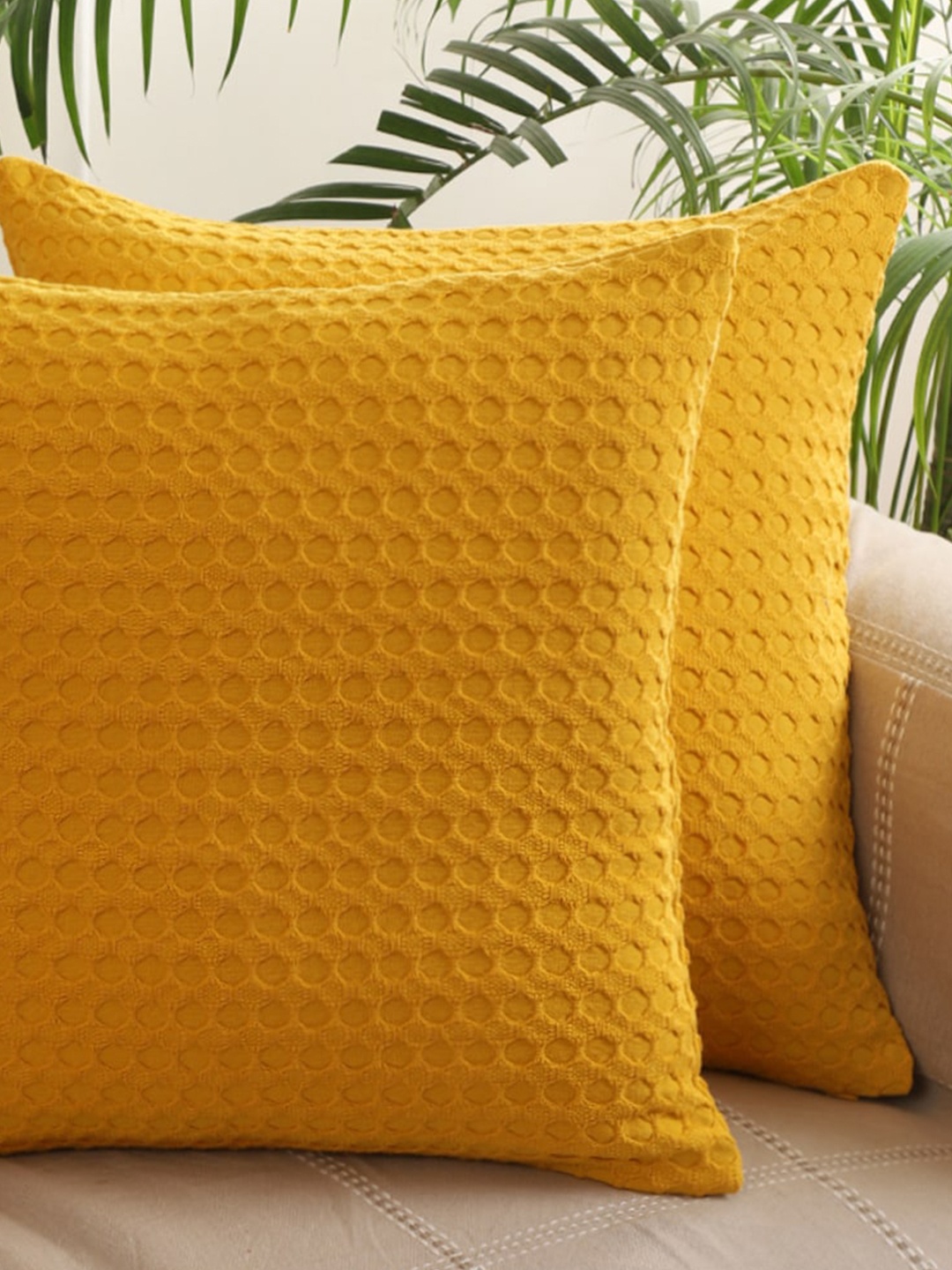 

Jamio Firati Yellow 2 Pieces Textured Cotton Square Cushion Covers