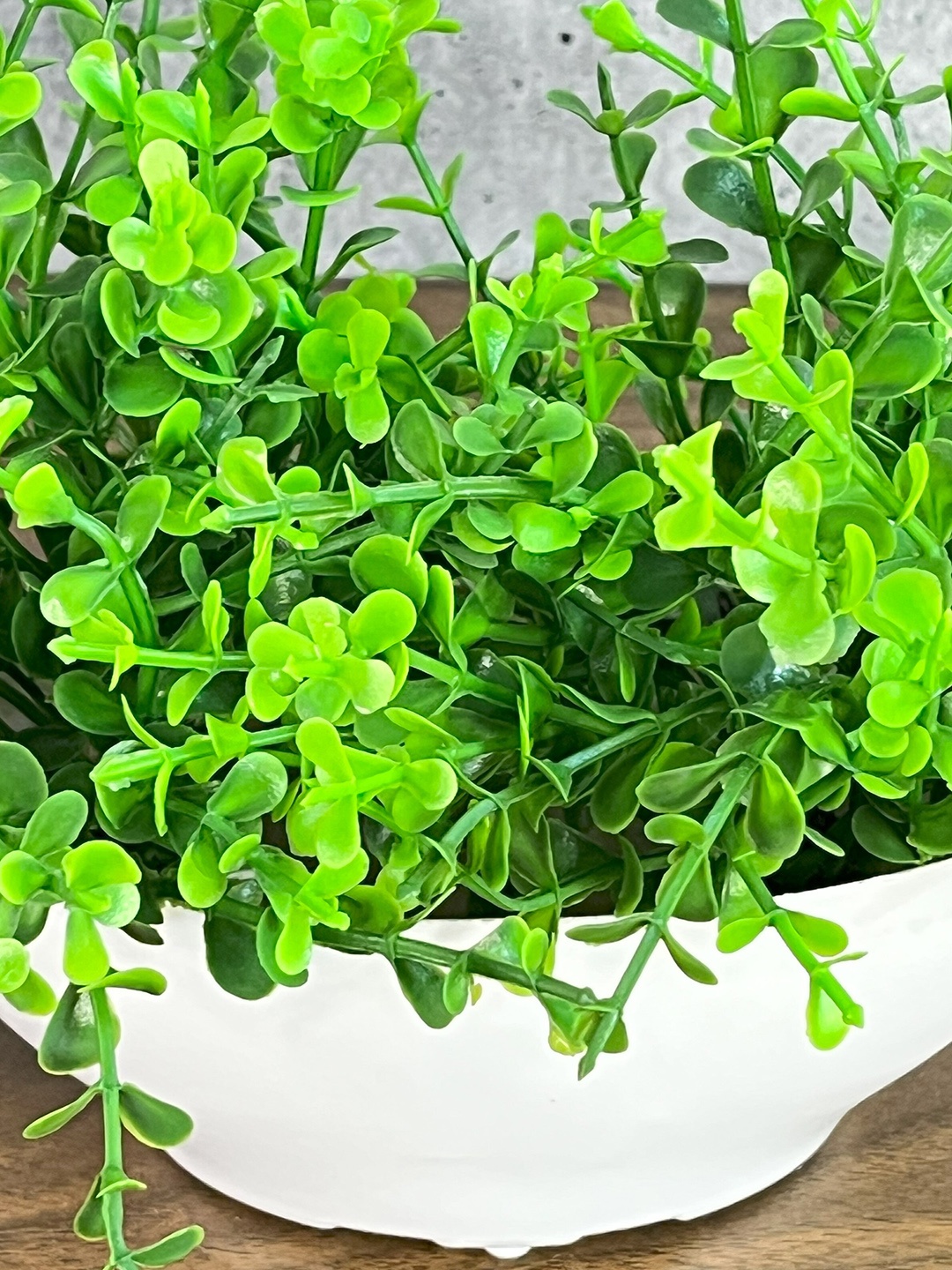 

Akaar Green & White Artificial Jade Bonsai With Boat Shaped Pot