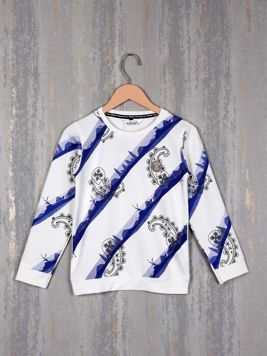 

Albion Boys Graphic Printed Sweatshirt, Blue