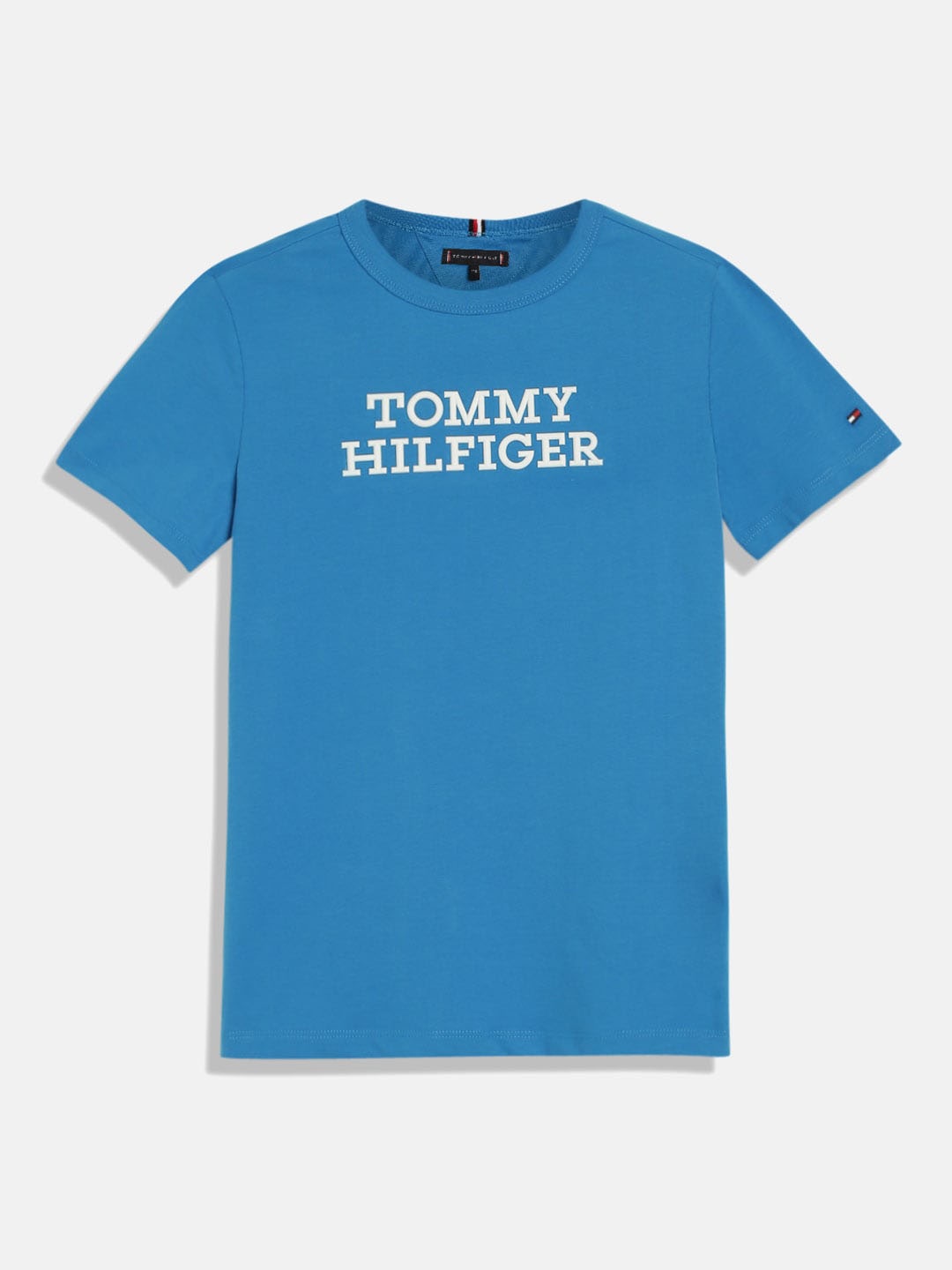 

Tommy Hilfiger Boys Typography Printed Pure Cotton T-Shirt, Blue