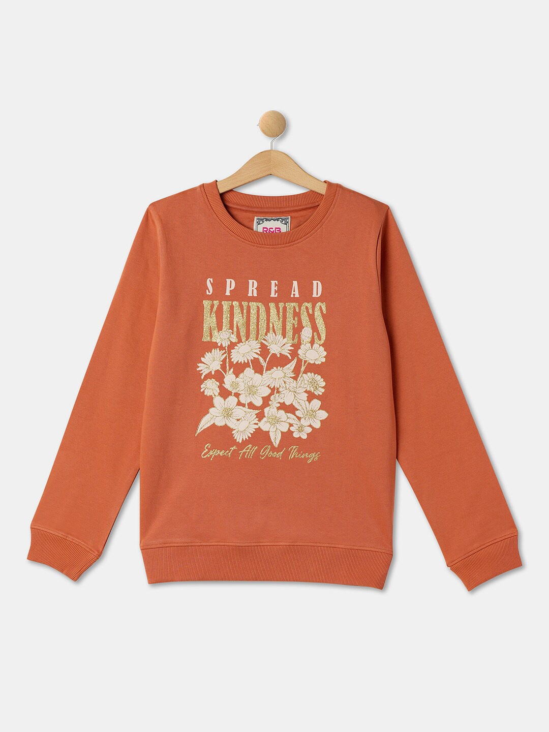 

R&B Girls Floral Printed Cotton Pullover, Brown