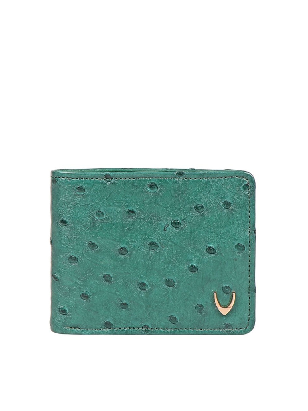 

Hidesign Men Textured Leather Two Fold Wallet, Green