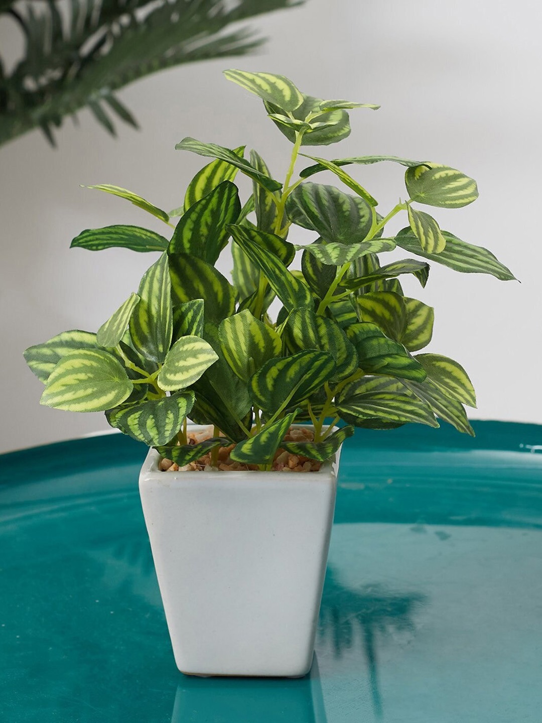 

Fourwalls Green & White Artificial Wandering Jew Bonsai Plant With Pot