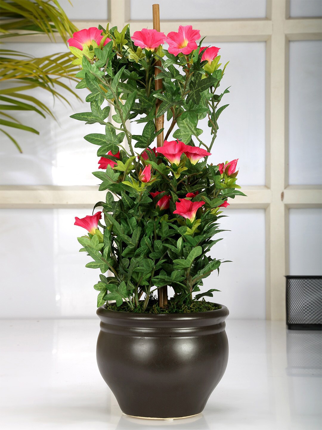 

Fourwalls Pink & Brown Artificial Morning Glory Plant With Pot