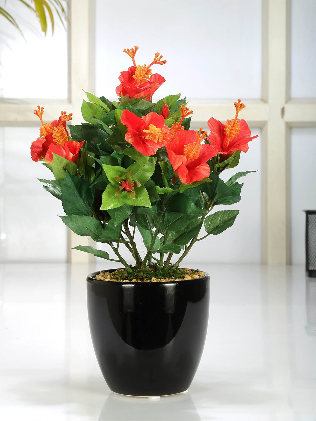 

Fourwalls Red & Black Artificial Hibiscus Flower Plant With Pot