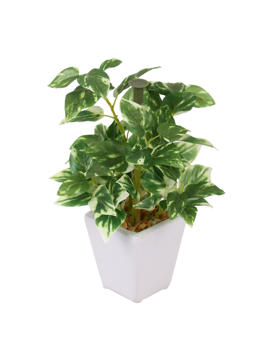 

Fourwalls Green & White Artificial Wandering Jew Bonsai Plant With Pot