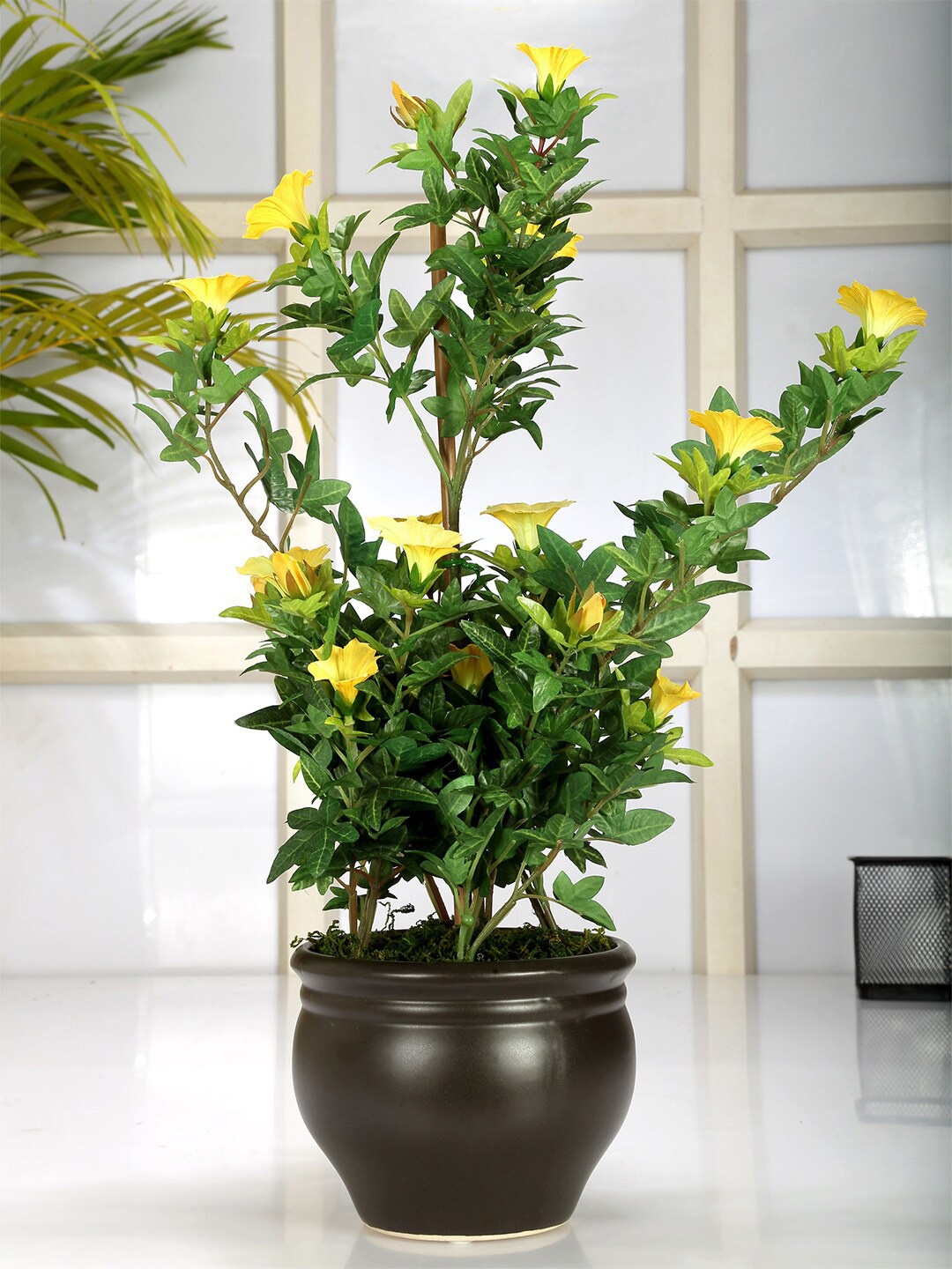 

Fourwalls Yellow & Green Artificial Morning Glory Flower Plant With Pot