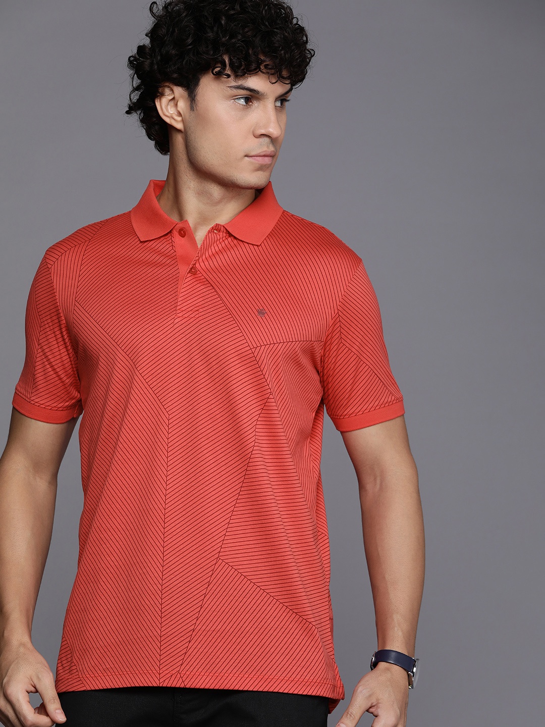 

Louis Philippe Sport Striped Polo Collar Pure Cotton T-shirt, Red