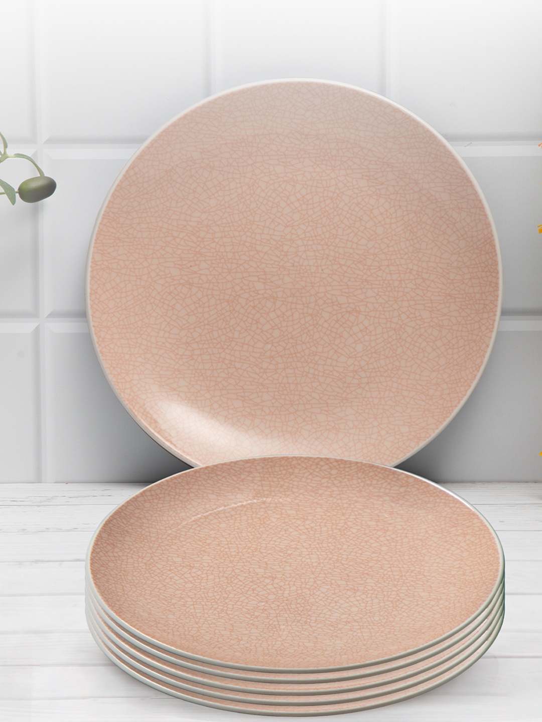 

Anko Pink 6 Pieces Stoneware Glossy Plates