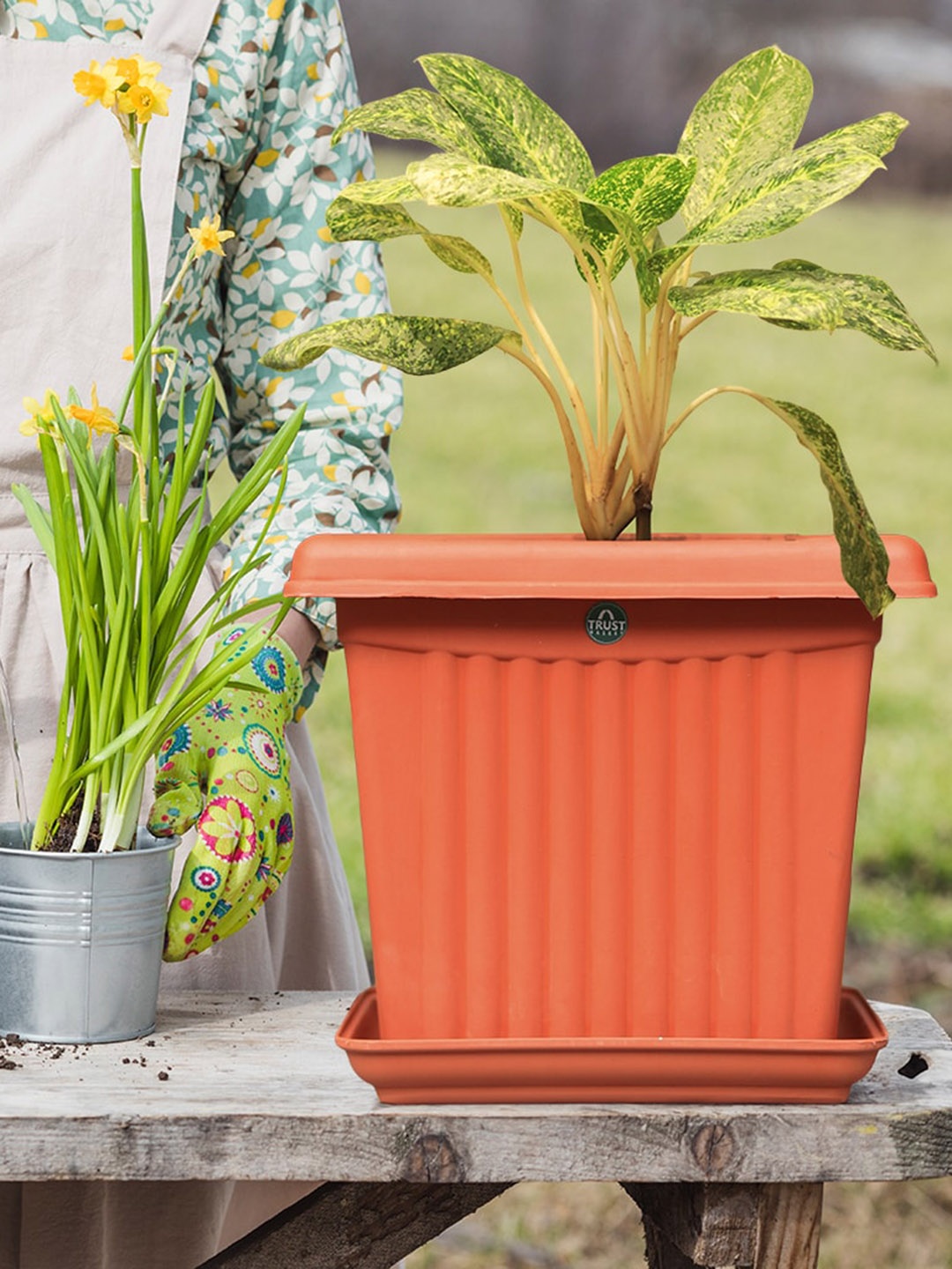 

TRUSTBASKET Brown 12 Pieces Square Planters With Saucer