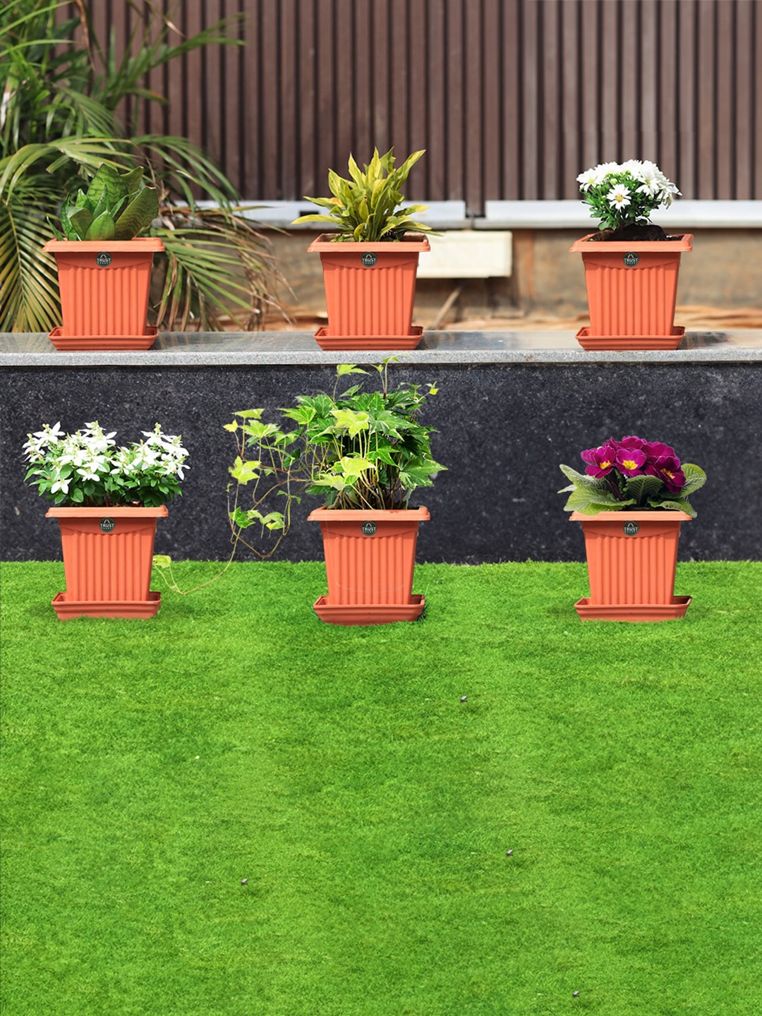 

TRUSTBASKET Brown 6 Pieces Square Planter with Saucer