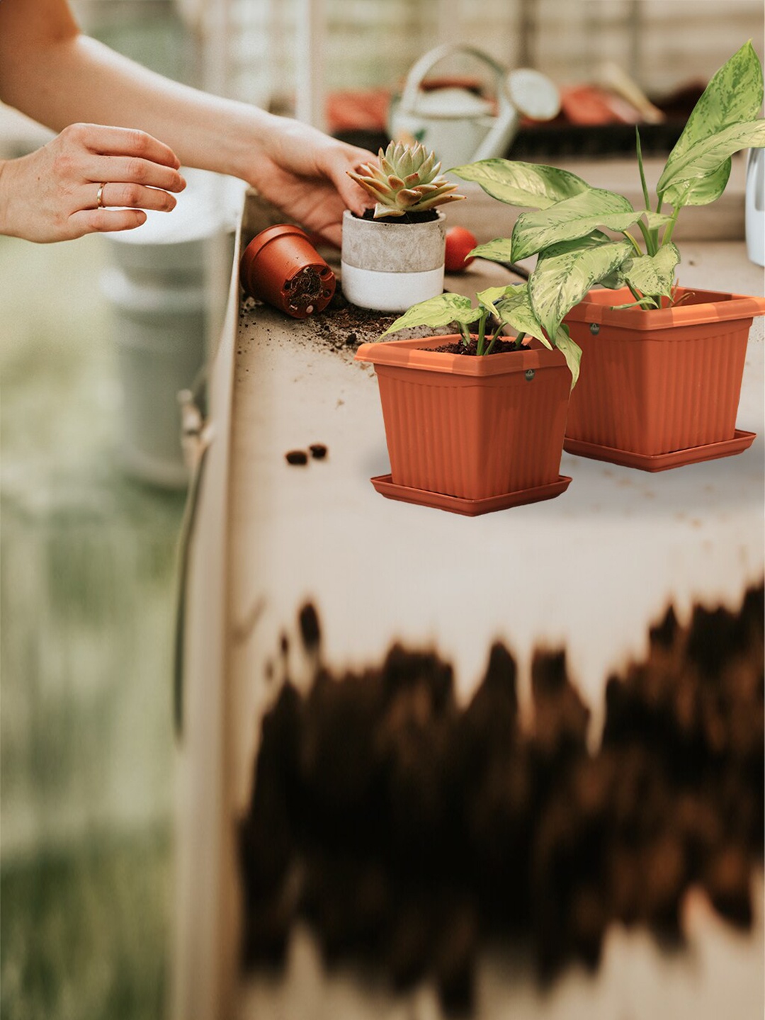 

TRUSTBASKET Brown 6 Pieces Sqaure Planter With Saucer