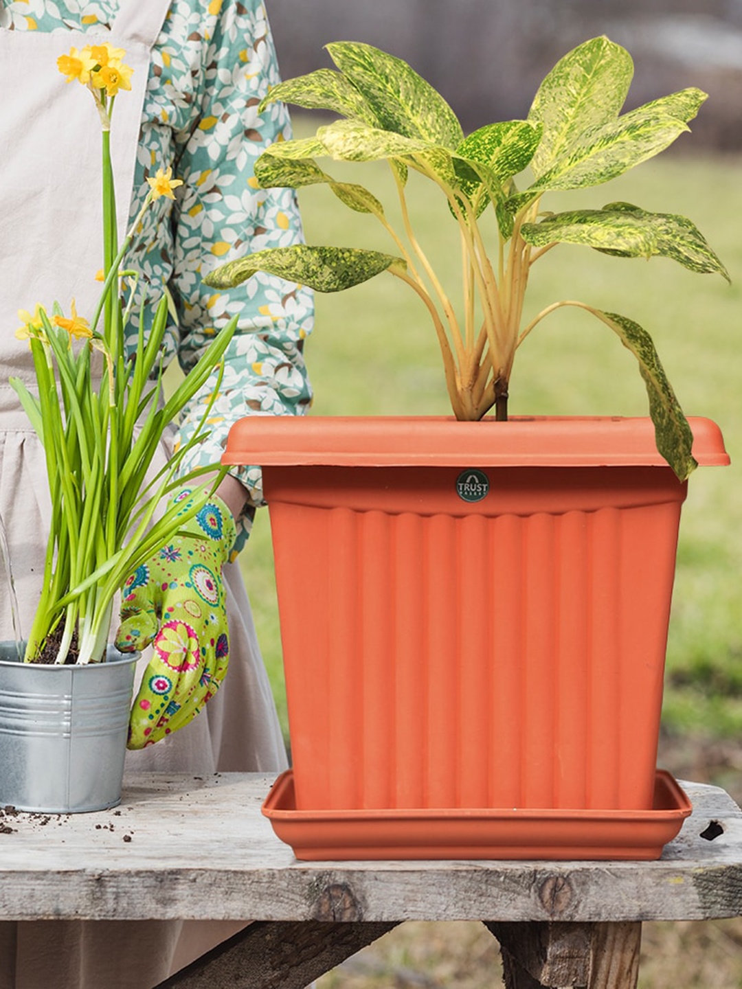 

TRUSTBASKET Brown 6 Pieces Square Planter With Saucers