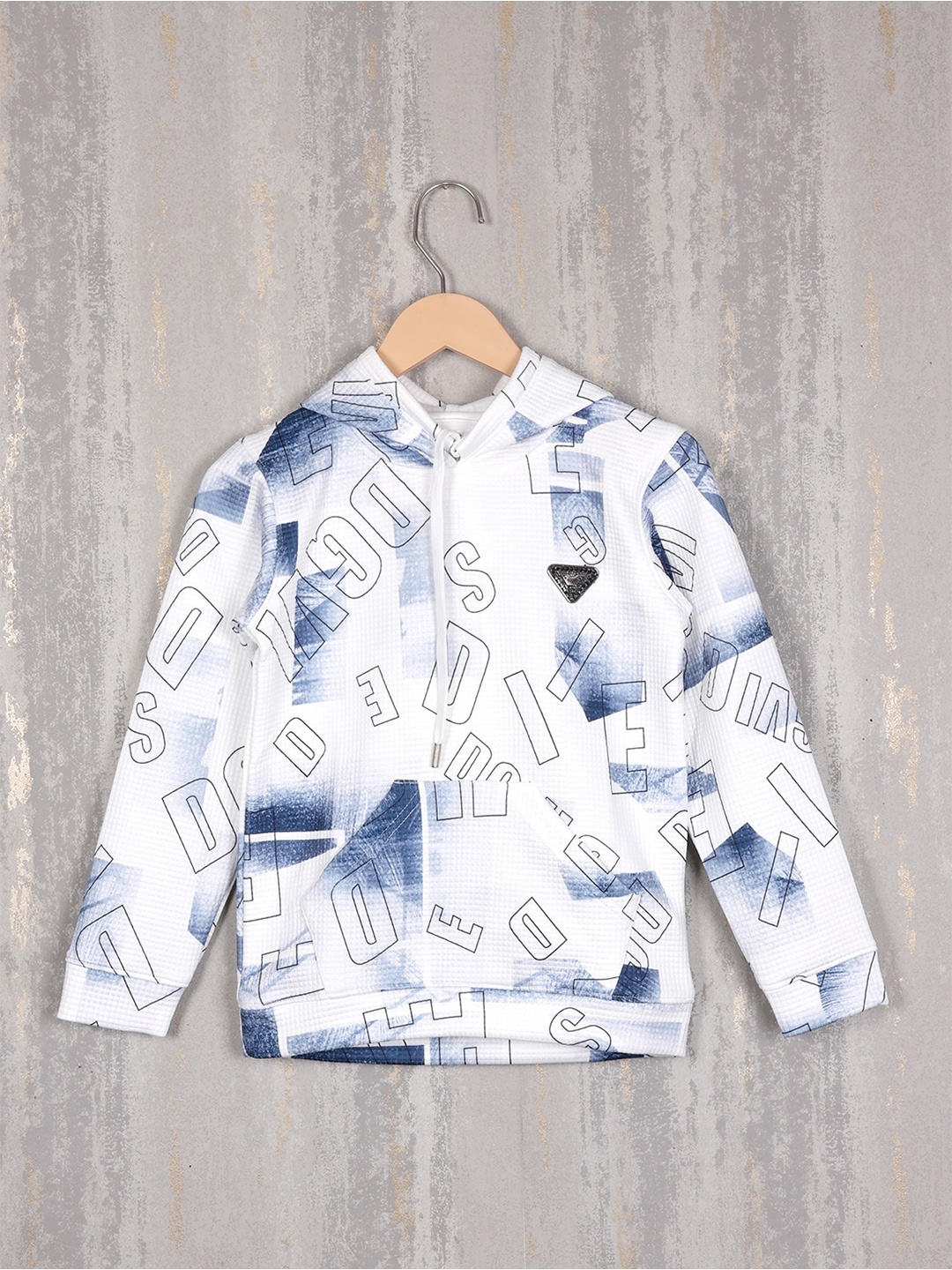 

Albion Boys Typography Printed Long Sleeves Hooded Pullover Sweatshirt, Blue