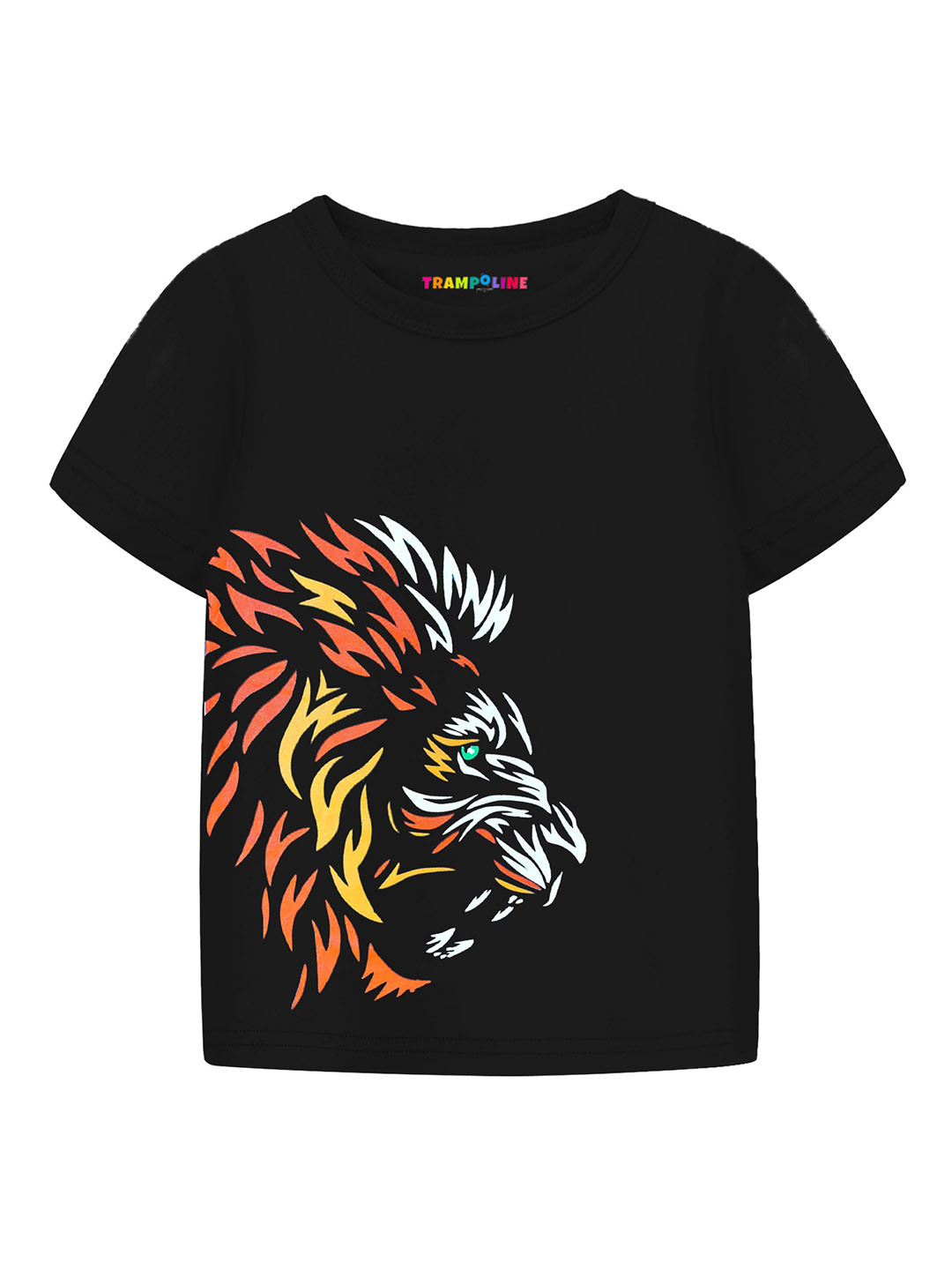 

Trampoline Boys Graphic Printed T-Shirt, Black