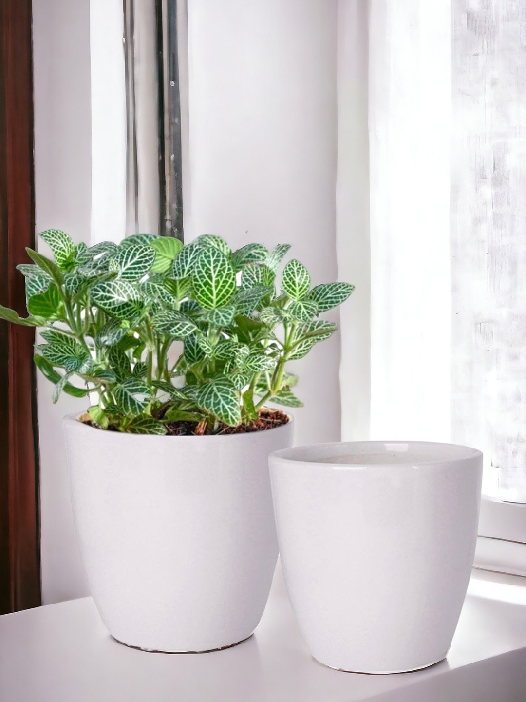

ecofynd White 2 Pieces Ceramic Planters