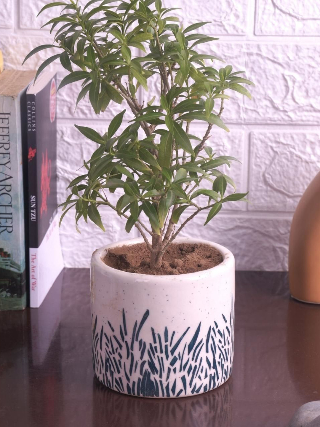 

ecofynd Beige & Green Printed Ceramic Planter Pot