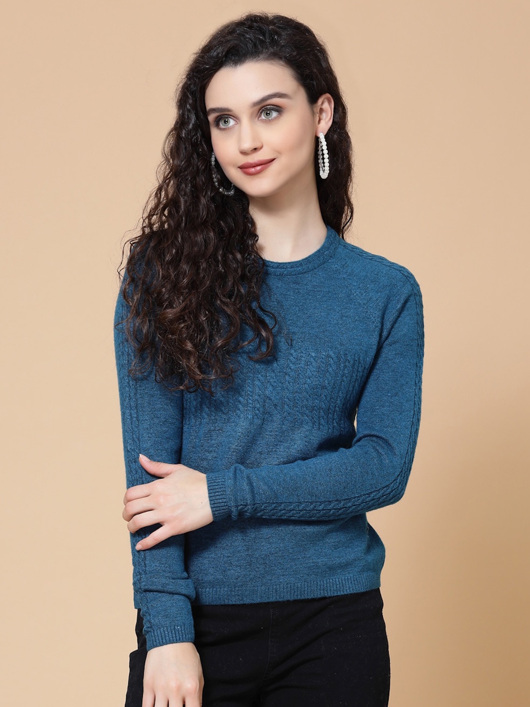 

DressBerry Blue Cable Knit Self Designed Acrylic Pullover