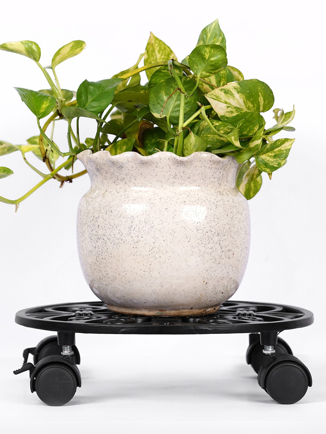 

ecofynd Black Round Metal Plant Stand With Wheels