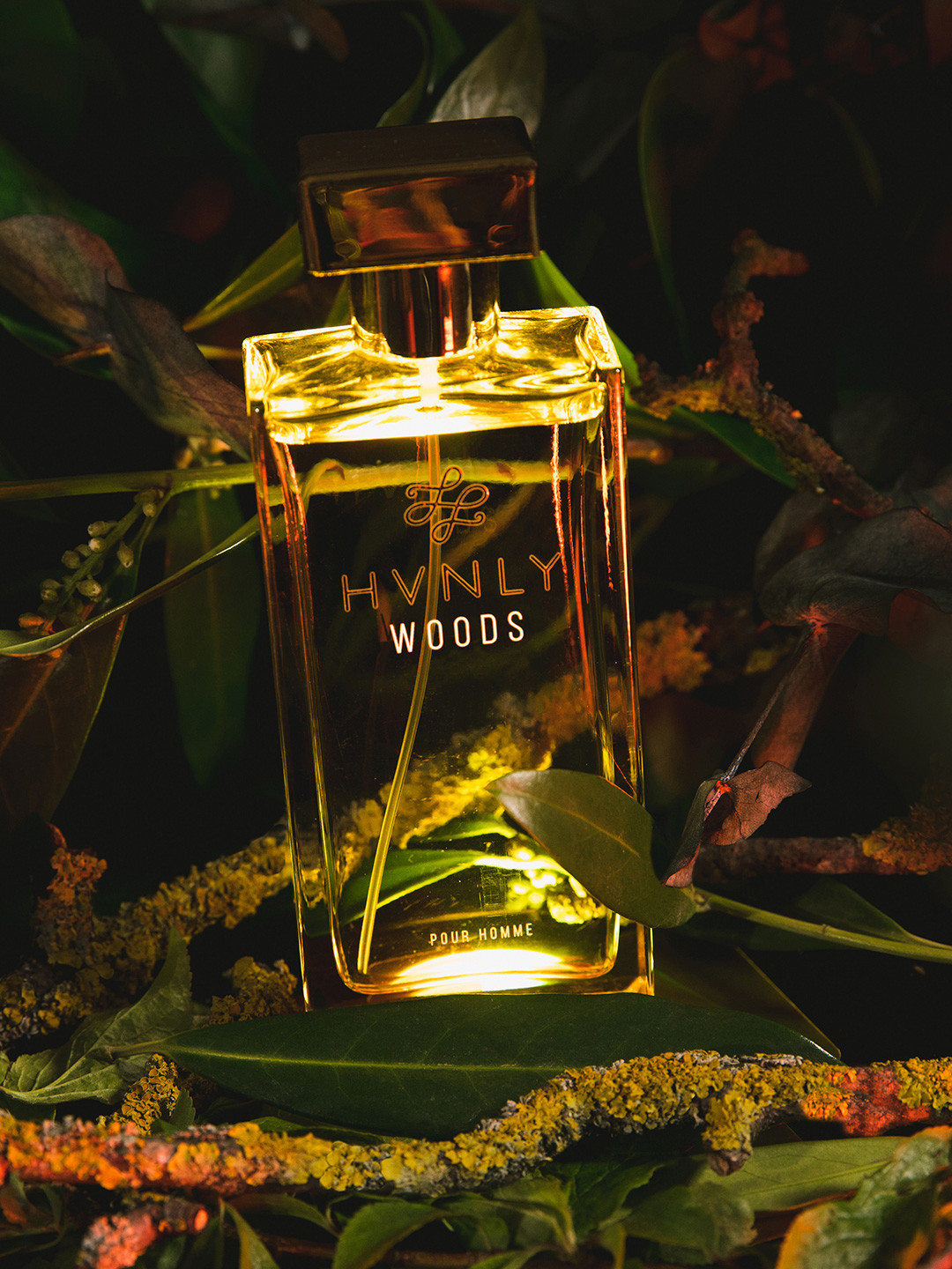 

HVNLY Men Woods Long Lasting Eau De Parfum - 100ml, Transparent